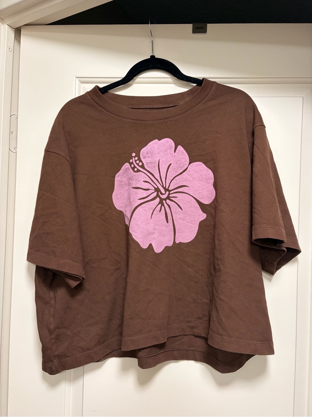 American Eagle Outfitters Brown Tee with Pink Floral Graphic